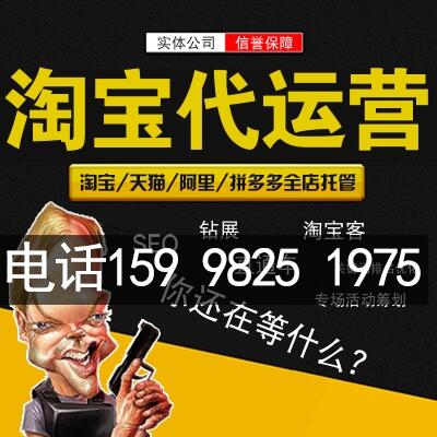 诸城淘系代运营_效果明显网店托管公司